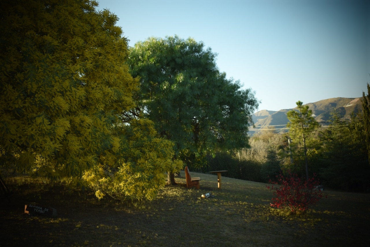 Paisaje circundante al complejo